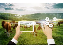 eBet官网-不凡成就非凡,相信品牌力量