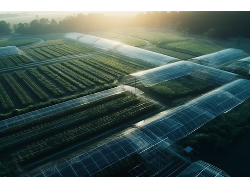 eBet官网-不凡成就非凡,相信品牌力量